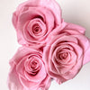 Forever Rose Box - Mini - Forever Fleurs