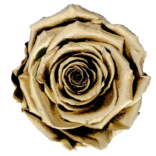 Suede Rose Bouquet Box (FREE Gift Box)