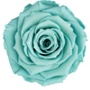 Forever Rose Box - Mini