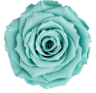 Forever Rose Box - Mini