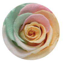 Forever Bouquet Box - Small (FREE gift box) - Forever Fleurs