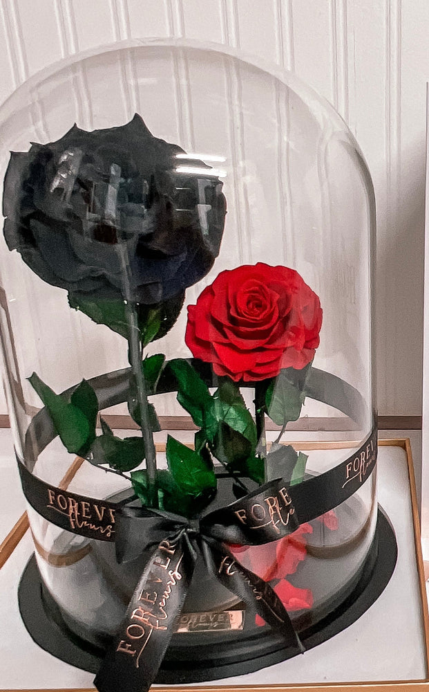 Forever Rose Dome - Grand - Forever Fleurs