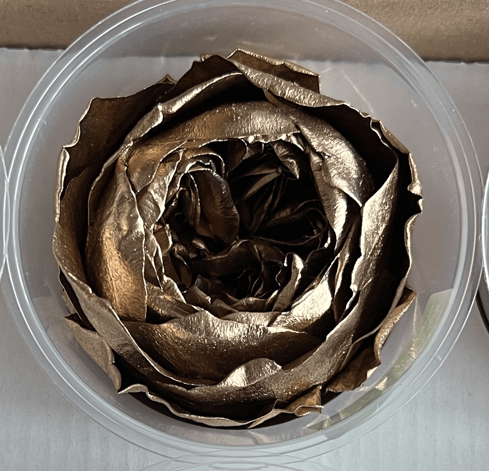 Peony Perfection Gold Box - Grand - Forever Fleurs