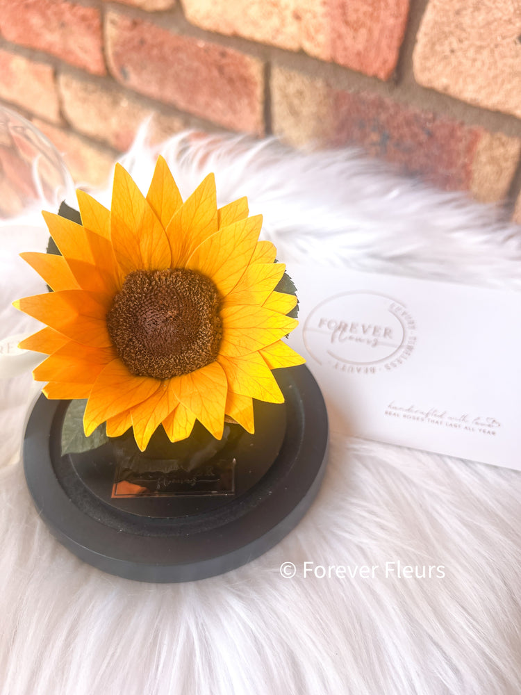 Petite Amour – Sunflower Dome - Forever Fleurs