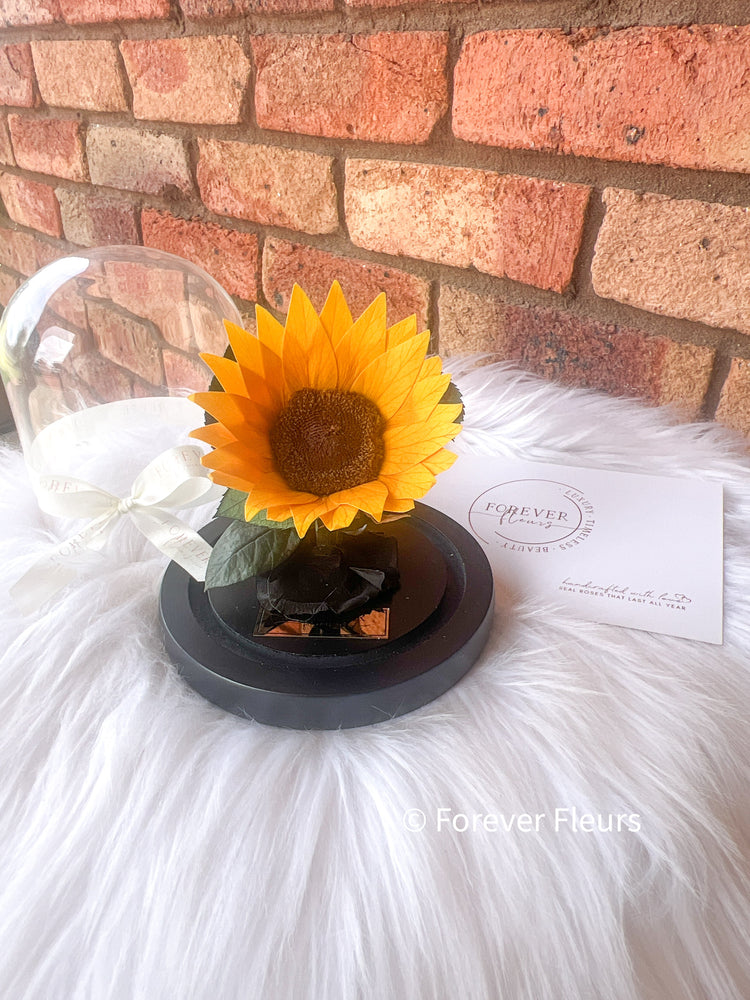 Petite Amour – Sunflower Dome