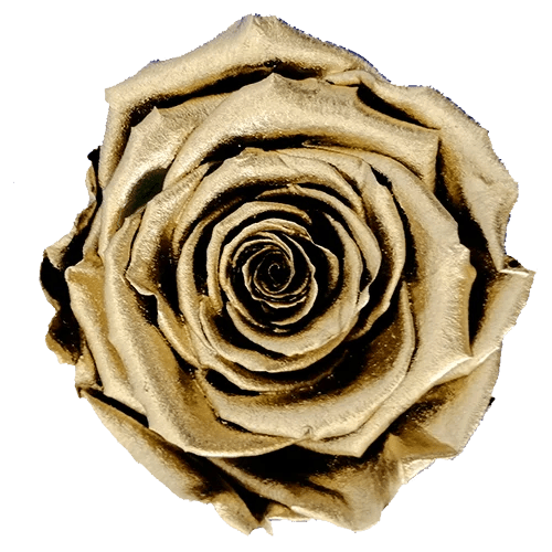 Single Acrylic Rose Box with drawer (FREE GIFT BOX!) - Forever Fleurs