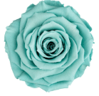 Suede Rose Bouquet Box (FREE Gift Box) - Forever Fleurs