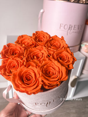 Suede Rose Box - Forever Fleurs
