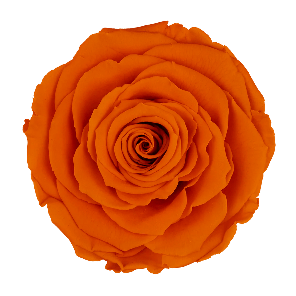 The Suede Rose Box Orange – Mother’s Day Edition - Forever Fleurs