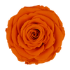 The Suede Rose Box Orange – Mother’s Day Edition - Forever Fleurs