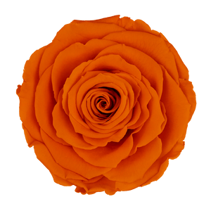 The Suede Rose Box Orange – Mother’s Day Edition - Forever Fleurs
