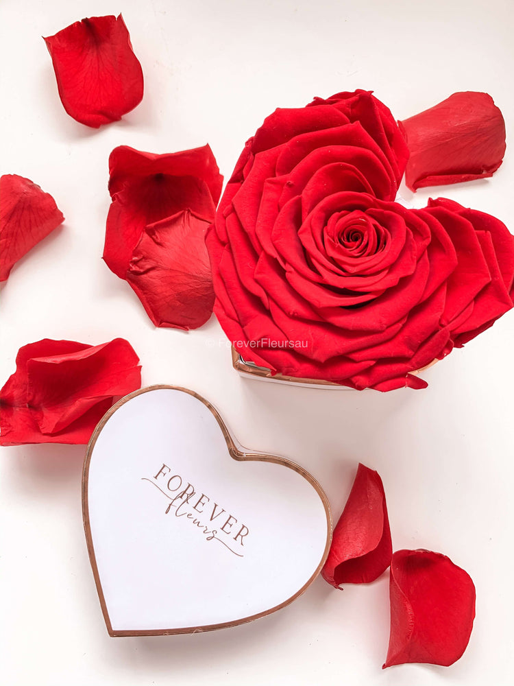 Forever heart box mini