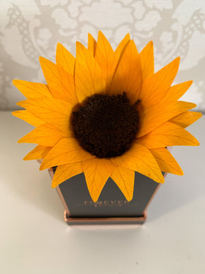 Everlasting Sunflower Mini - Forever Fleurs