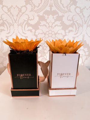 Everlasting Sunflower Mini - Forever Fleurs