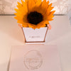 Everlasting Sunflower Mini - Forever Fleurs