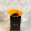 Everlasting Sunflower Mini - Forever Fleurs