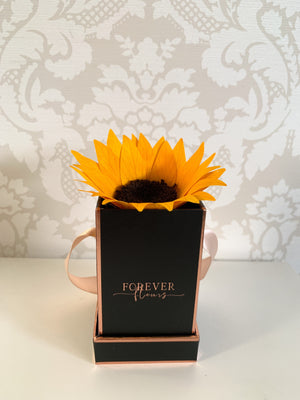 Everlasting Sunflower Mini - Forever Fleurs