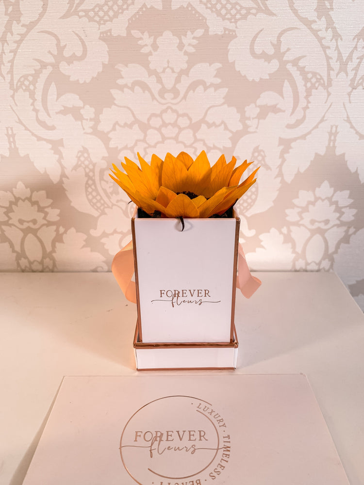 Everlasting Sunflower Mini - Forever Fleurs