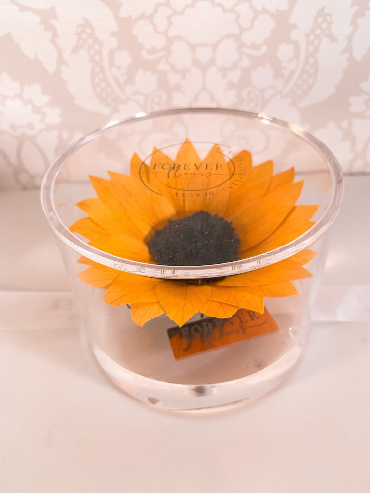 Everlasting Sunflower Single Acrylic (FREE GIFT BOX!) - Forever Fleurs