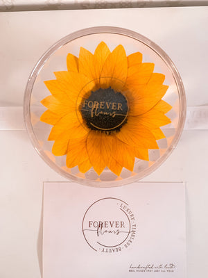 Everlasting Sunflower Single Acrylic (FREE GIFT BOX!) - Forever Fleurs