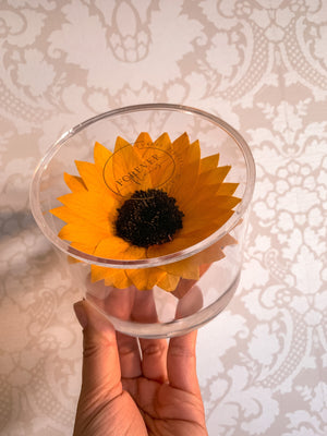 Everlasting Sunflower Single Acrylic (FREE GIFT BOX!)