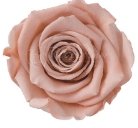 Forever Bouquet Box - Medium - Forever Fleurs