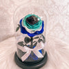 Forever Evil Eye Collection - Forever Fleurs