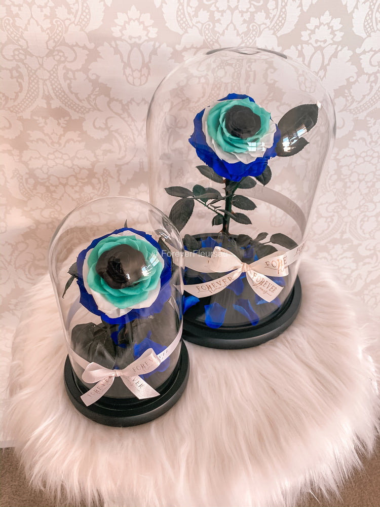 Forever Evil Eye Collection - Forever Fleurs