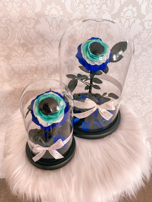Forever Evil Eye Collection - Forever Fleurs
