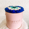 Forever Evil Eye Collection - Forever Fleurs