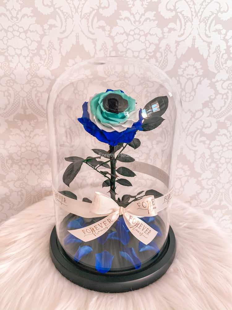 Forever Evil Eye Collection - Forever Fleurs