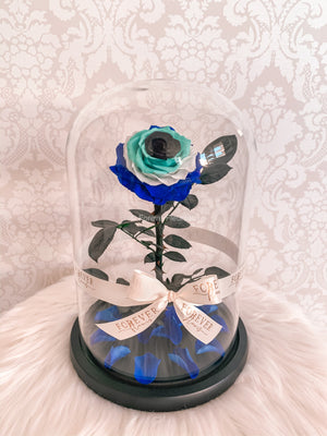 Forever Evil Eye Collection - Forever Fleurs