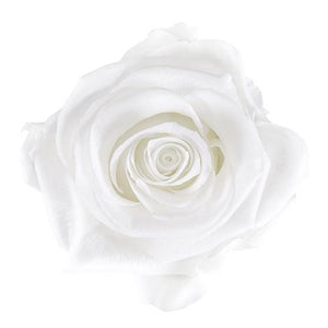 Forever Heart Rose Box Large - Forever Fleurs