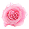 Forever Pink Rose Box - Grand - Forever Fleurs