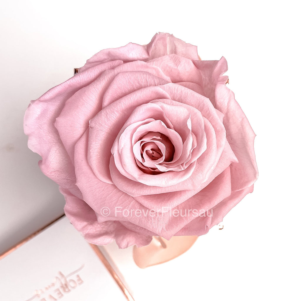 Forever Rose Box - Grand Red / White Box | luxury bespoke rose gift boxes
