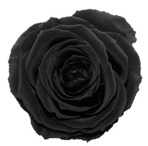 Forever Rose Box - Medium - Forever Fleurs