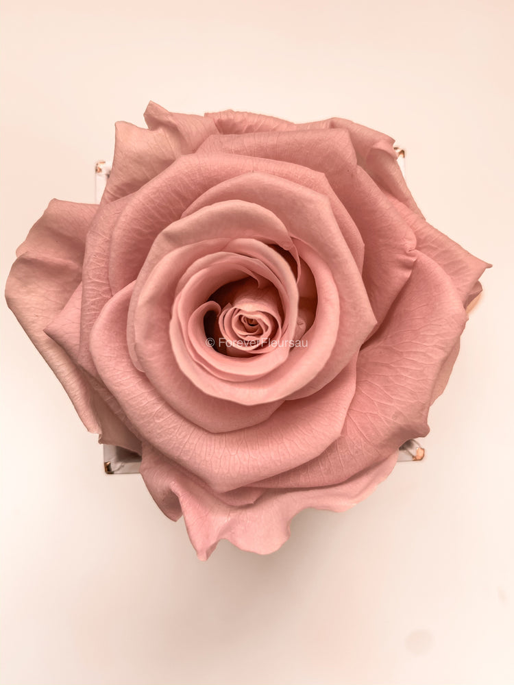 Forever Rose Box - Mini Red / White Box | luxury bespoke rose gift boxes