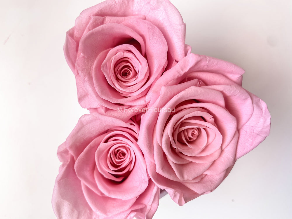 Forever Roses Mini Forever Rose Box - Mini | luxury bespoke rose gift boxes