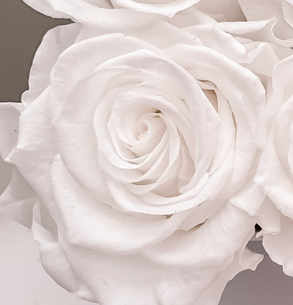Forever Roses Mini Forever Rose Box - Mini | luxury bespoke rose gift boxes