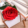 Forever Rose Box - Single Long - Forever Fleurs