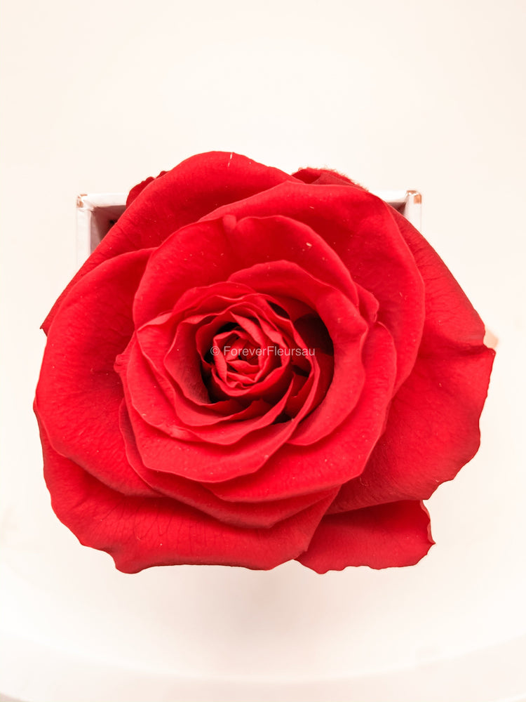 Forever Rose Box - Small | luxury bespoke rose gift boxes