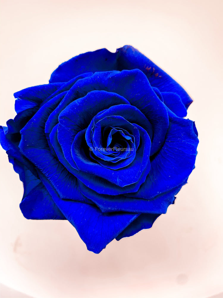 Forever Rose Box - Small | luxury bespoke rose gift boxes