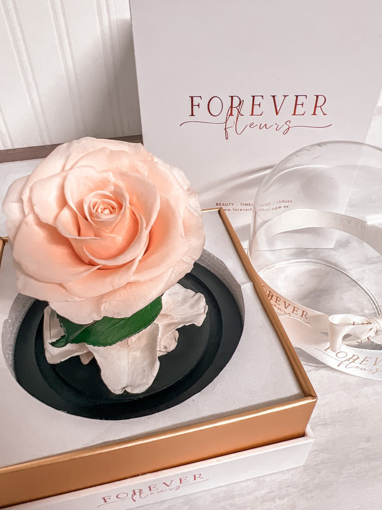 Forever Rose Dome - Baby - Forever Fleurs