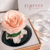 Forever Rose Dome - Baby - Forever Fleurs