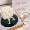 Forever Rose Dome - Baby - Forever Fleurs