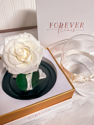 Forever Rose Dome - Baby - Forever Fleurs