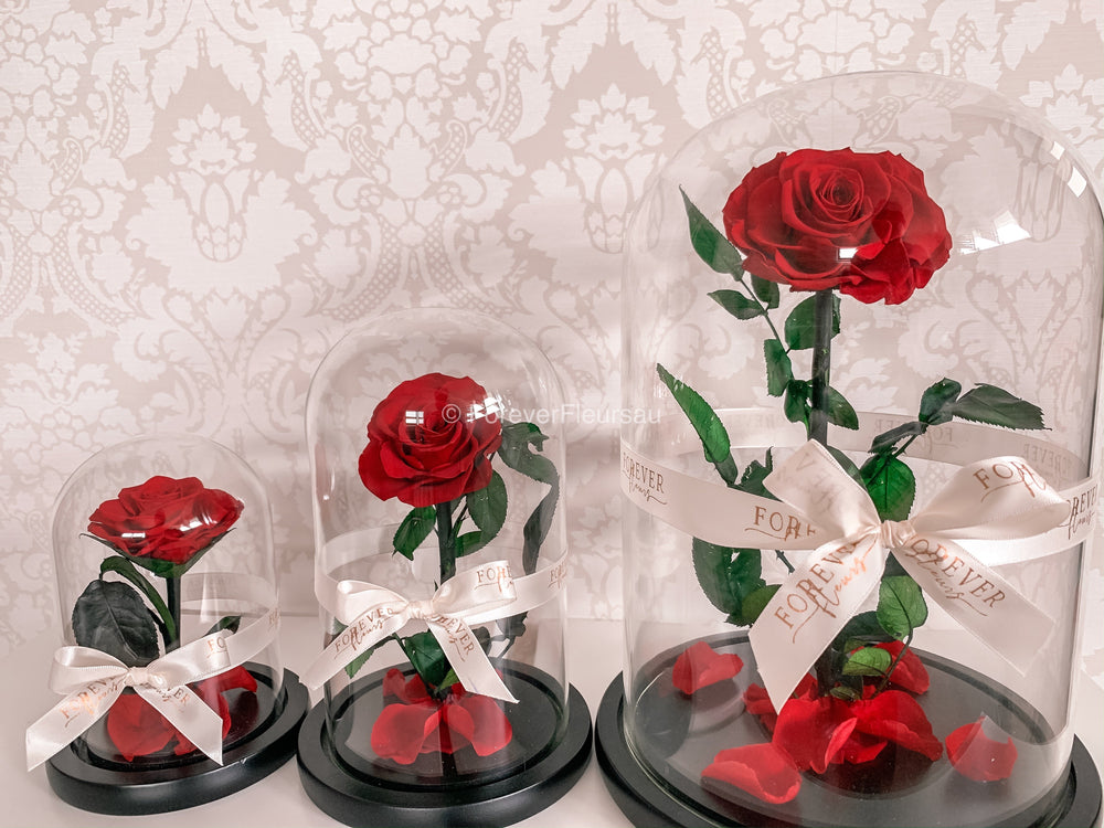 Forever Roses Mini Forever Rose Dome - Mini | luxury bespoke rose gift boxes