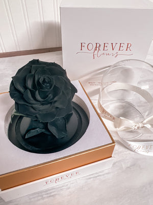 Forever Rose Dome - Baby - Forever Fleurs