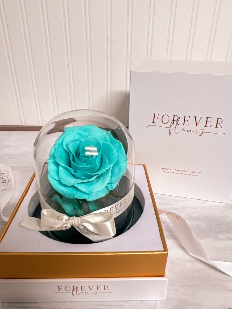 Forever Rose Dome - Baby - Forever Fleurs