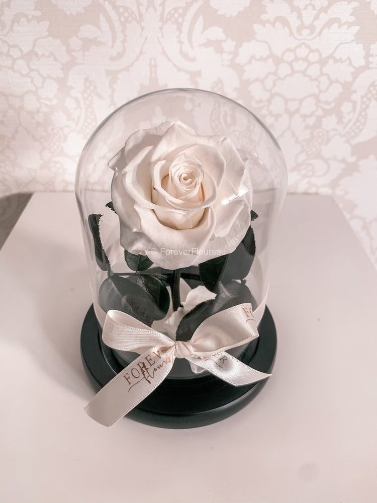 Forever Rose Dome - Mini - Forever Fleurs